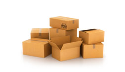 wholesale software